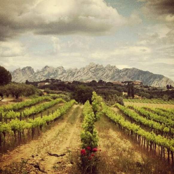 Finca Parera bajo Montserrat